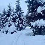Daire Christina 1 By Smr Near Gondola