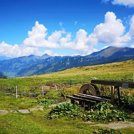 Christina 1 By Smr Near Gondola