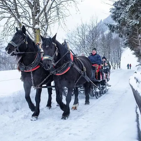 Christina 1 By Smr Near Gondola * Rauris