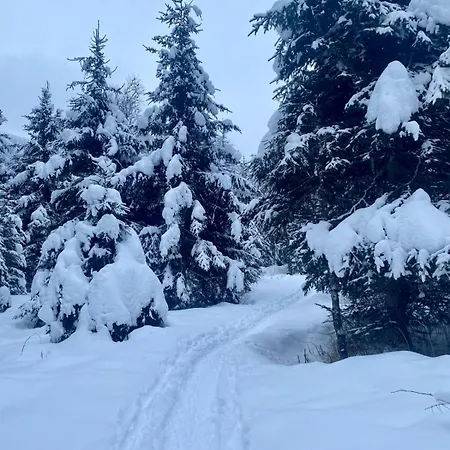 Apartament Christina 1 By Smr Near Gondola