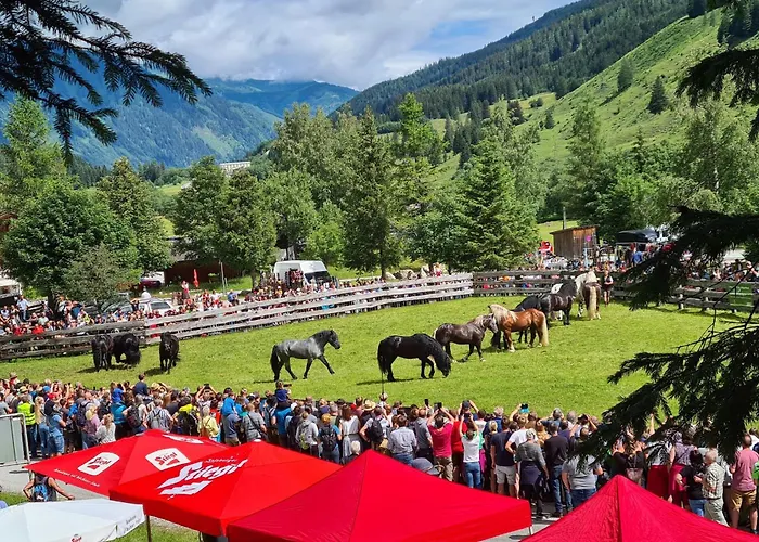 Appartement Christina 1 By Smr Near Gondola