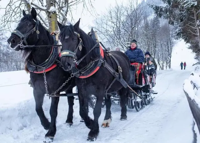 Christina 1 By Smr Near Gondola * Rauris